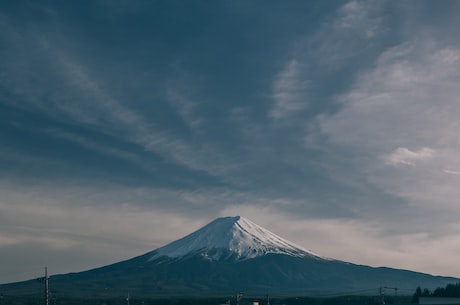 中村狮童(中村狮童：传奇的日本拳击手)