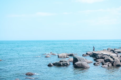 大海图片(如何用海底摄影记录大海图片美景)