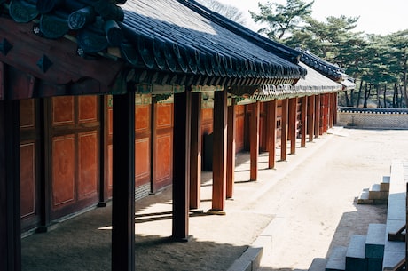 飞来寺(一步一个脚印，走进【飞来寺】)