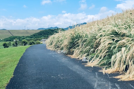 得道多助失道寡助的中心论点(得道多助失道寡助的中心论点——探讨中华民族的独特性)