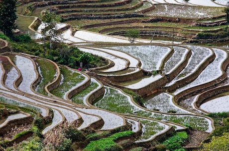 郁南(探寻广东的美丽风景线——郁南)