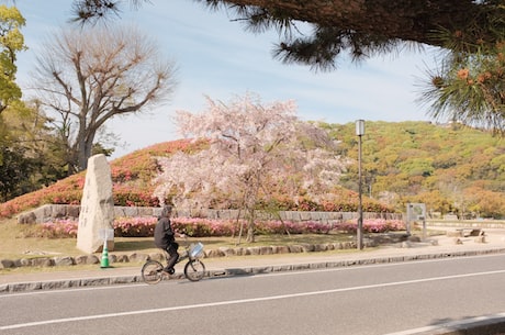 轮胎粉碎机 大量废轮胎的堆积不仅占用土地而且严重破坏环境