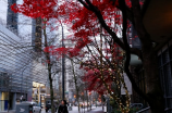 vancouver(探秘加拿大温哥华，感受西海岸不一样的风景)