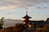 道源寺(道源寺：静谧庙宇中的释教禅修圣地)