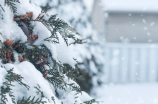 美国国内多地迎来降雪，夏威夷则现罕见大雪天气