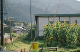 上海市地震局(探索上海市地震局：保护上海的地震安全)